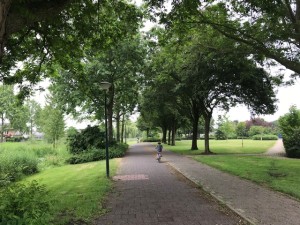 IMG_2834