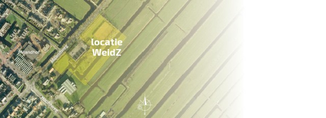 weidz.jpg