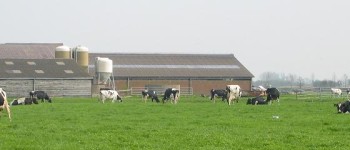 Banner oude meije