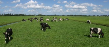 banner groene hart